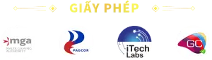 Giấy phép hoạt động